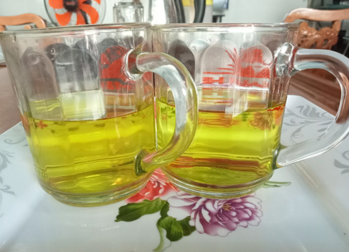Green Leaves - Fresh Green Leaf Tea