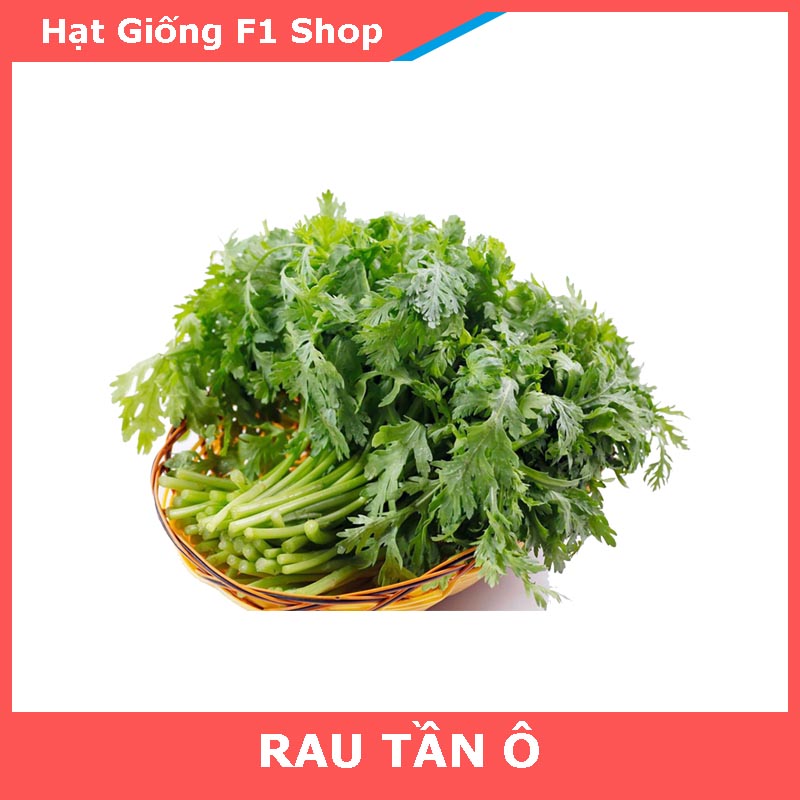 Hạt Giống Rau Tần Ô Cúc Tẻ Thơm Ngon 20 Gam