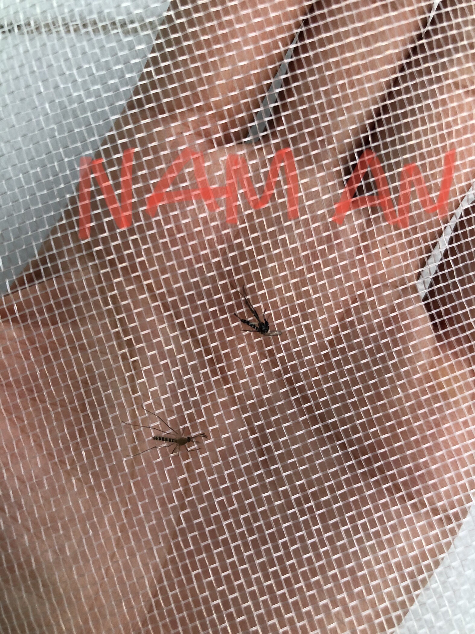 Lưới mùng chắn côn trùng, che vườn rau, chống muỗi khổ 2m7