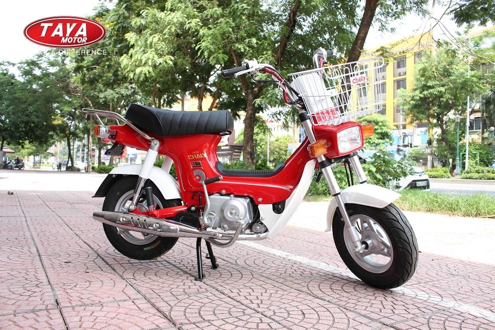 Rổ Trước Chaly Loại Tốt