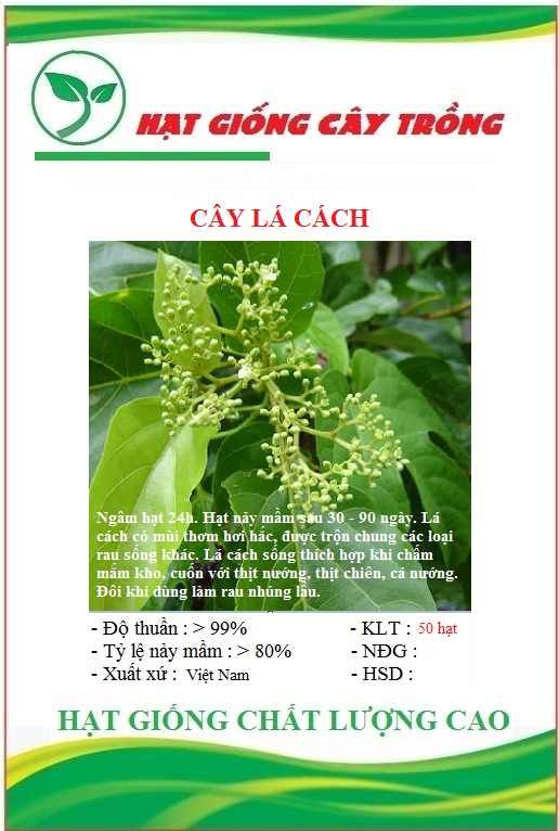 Hạt giống cây lá cách là cách biển, vọng cách, CT73 - Gói 20 hạt