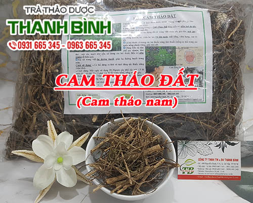 Cây Cam Thảo Đất (Cam Thảo Nam) 1KG Khô - Đông Y Thanh Bình