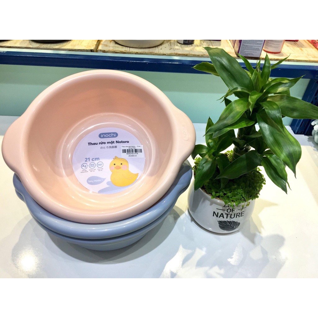 Thau rửa mặt cho bé Notoro 21cm xuất Nhật Bản tây cầm chống trơn trượt nhựa PP nguyên sinh, kháng khuẩn (Ag+)