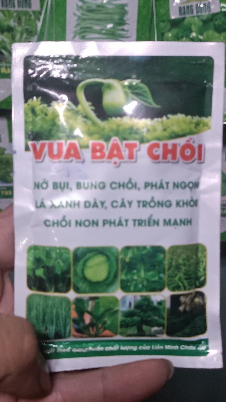 Phân bón Vua Bật Chồi giúp ra đọt đều, vọt đọt thần tốc, xanh lá, nở bụi, phân bón Hoa Mai, Hoa Hồng, cây cảnh