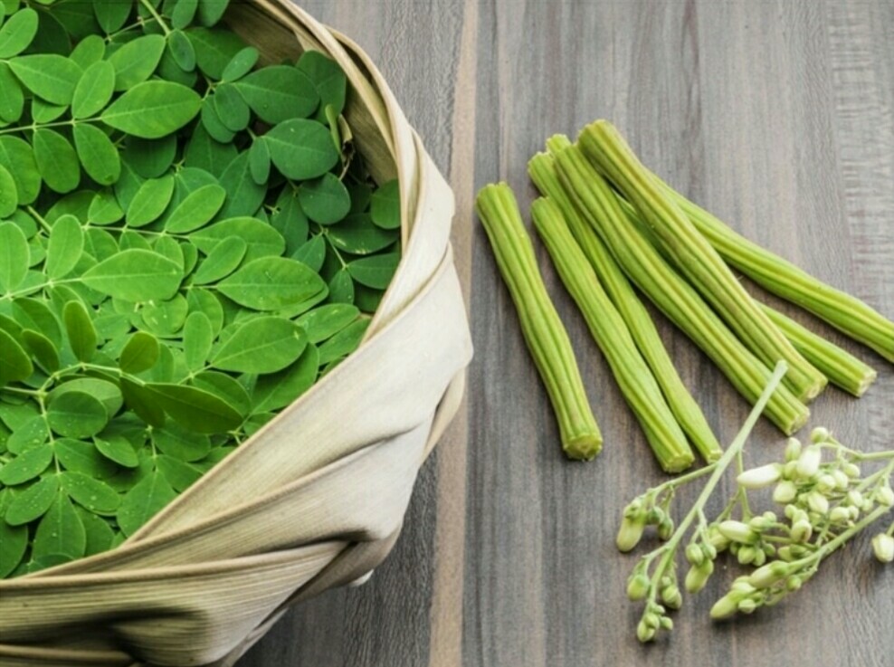 LÁ CÂY CHÙM NGÂY TƯƠI (150g)