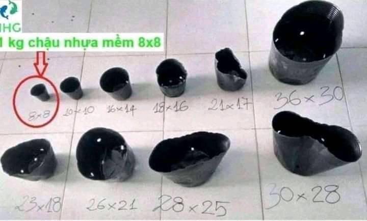 1 kg Túi ươm/Bầu ươm cây 13x12