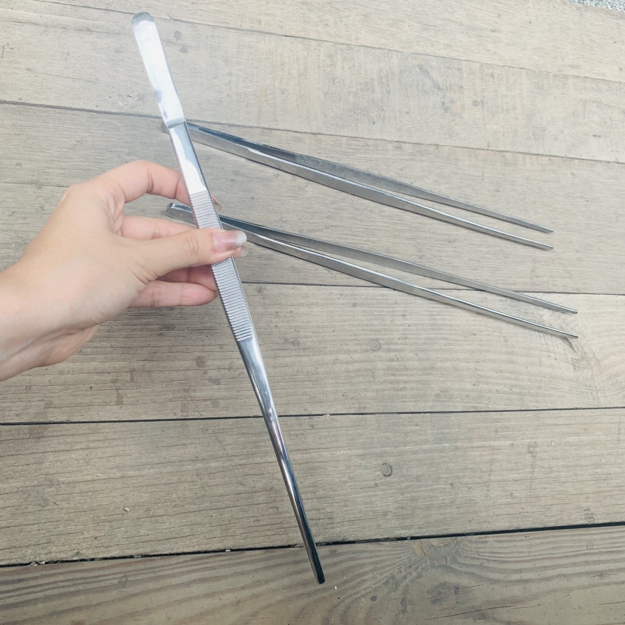 [HCM]NHÍP GẮP 30CM - PHỤ KIỆN HỒ THỦY SINH