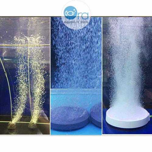 Sủi đĩa oxy tròn siêu mịn size 6cm cho hồ cá - Hàng Công Ty