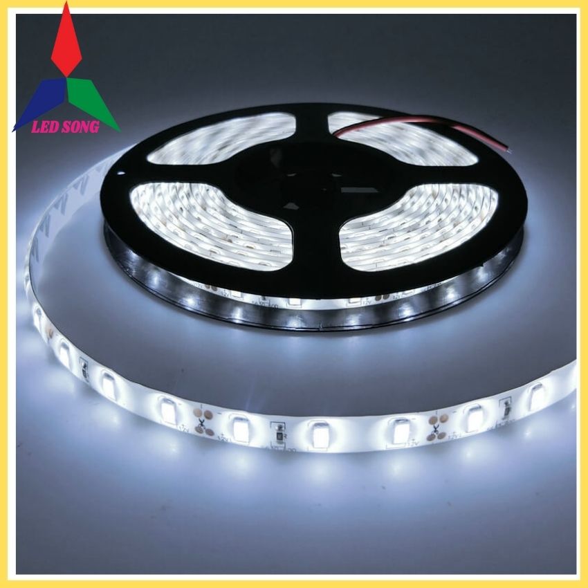 Led Dây Dán 12v 5054 Siêu Sáng Cuộn 5m