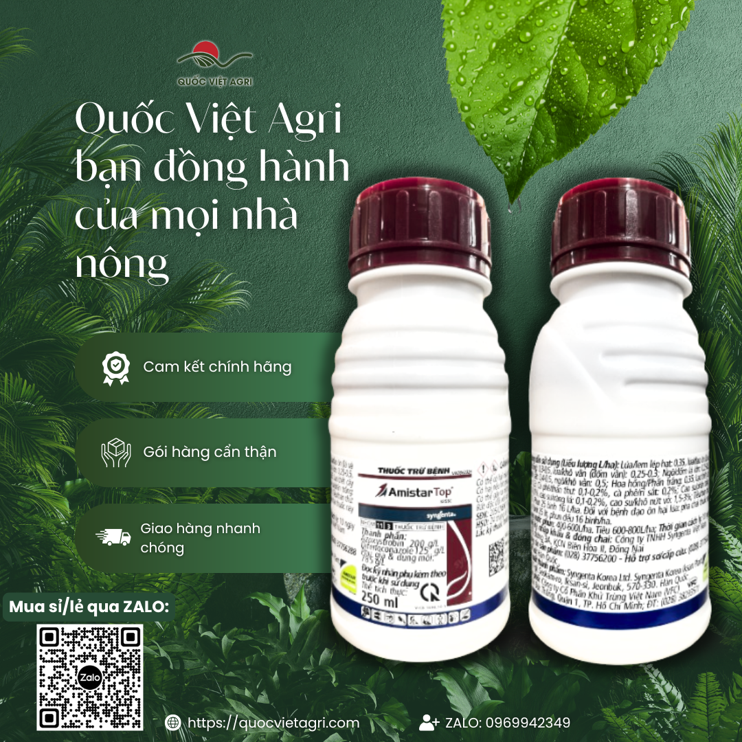 Thuốc trừ bệnh AMISTAR TOP 325SC (chai 250ml) - Chính hãng Syngenta