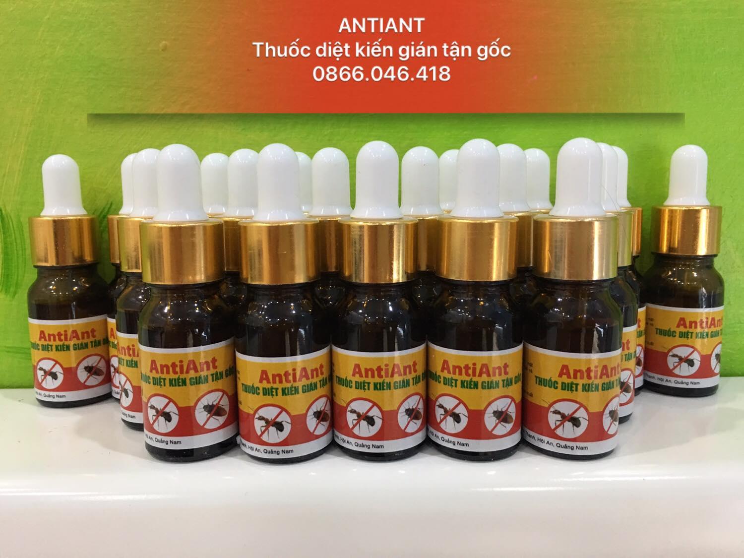 THUỐC DIỆT KIẾN GIÁN TẬN GỐC ANTIANT