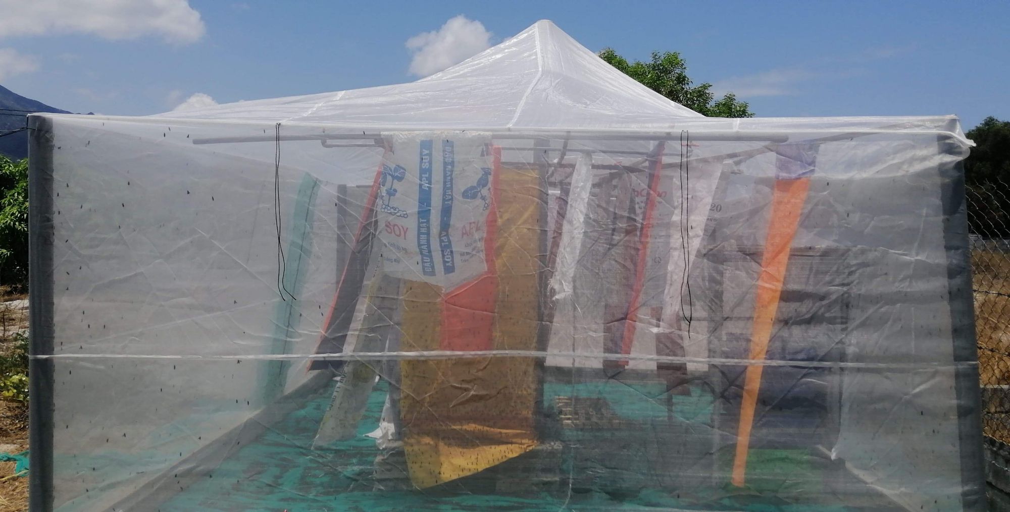 lồng nuôi cào cào , châu chấu 5x4x2