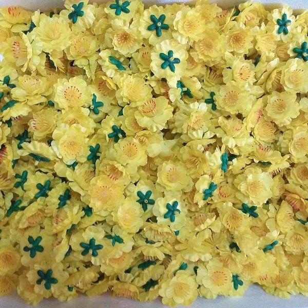 Combo 0.5kg hoa mai rời