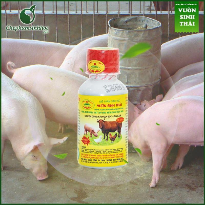 Vườn sinh thái chăn nuôi gia súc, gia cầm (dinh dưỡng cho vật nuôi)