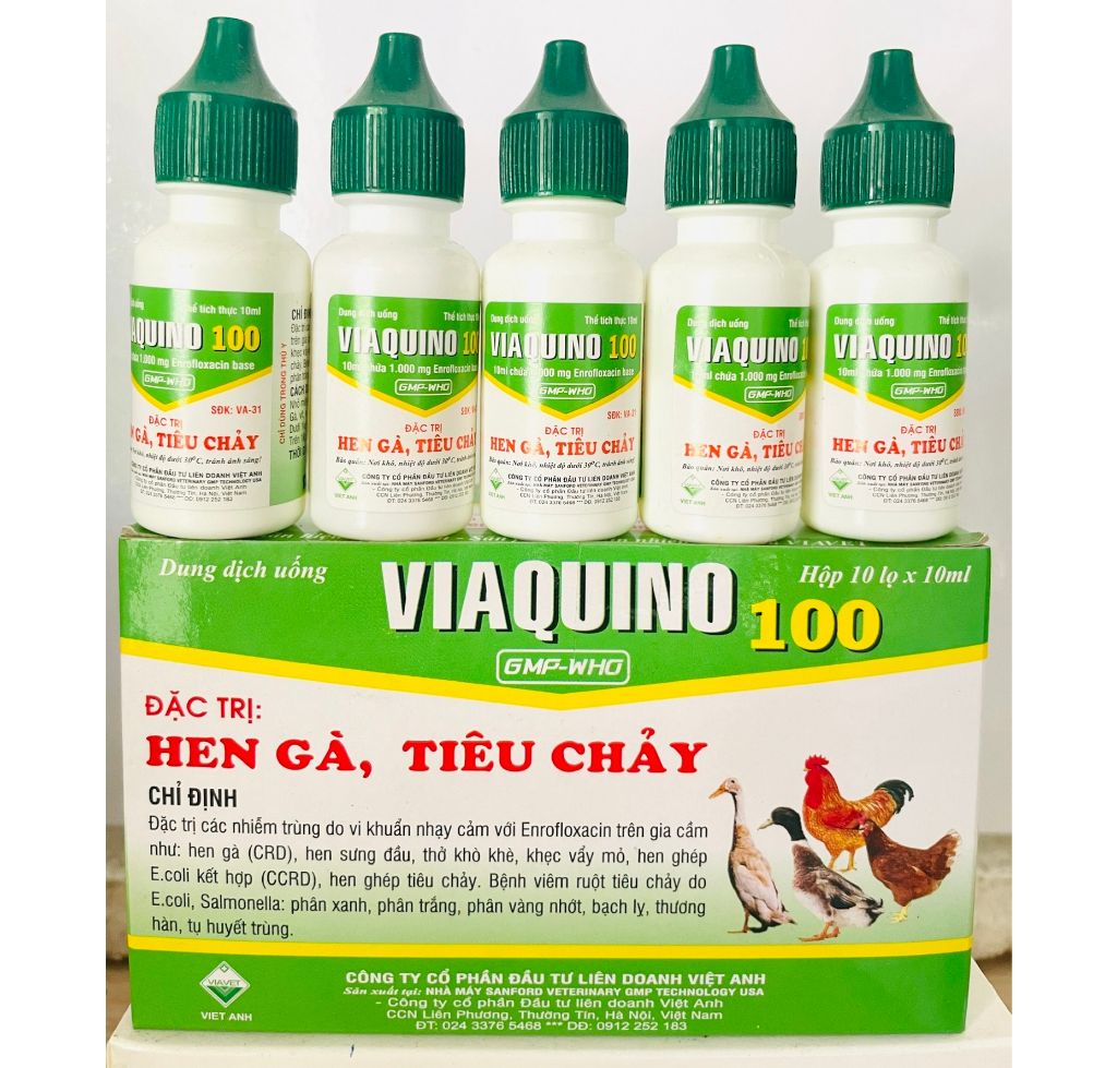 Viaquino Hen ga, tiêu chảy phân xanh, phân trắng cho gà