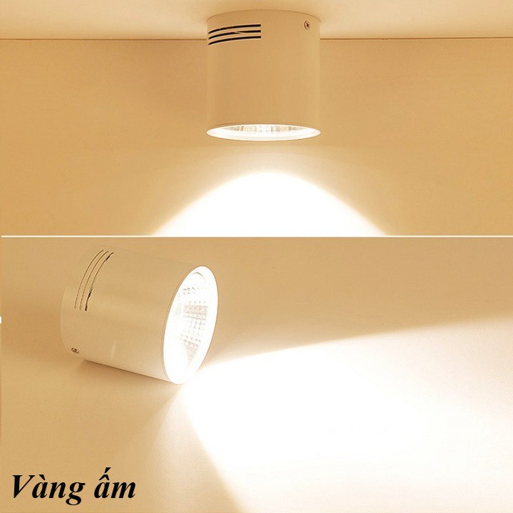 ĐÈN LON ỐP NỔI MẮT COB 12W