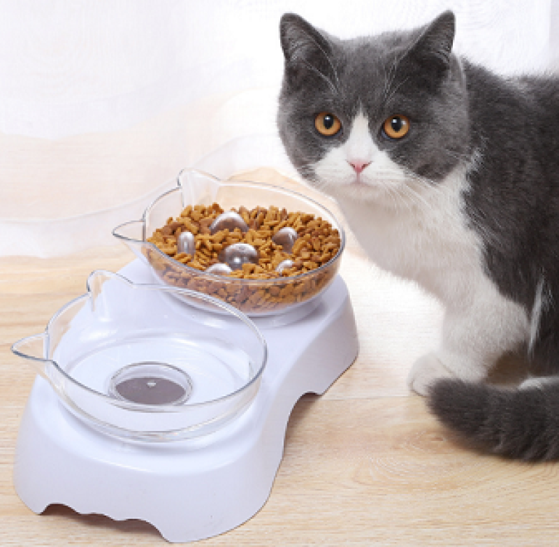Bát ăn uống đôi đa năng trong suốt cho chó mèo