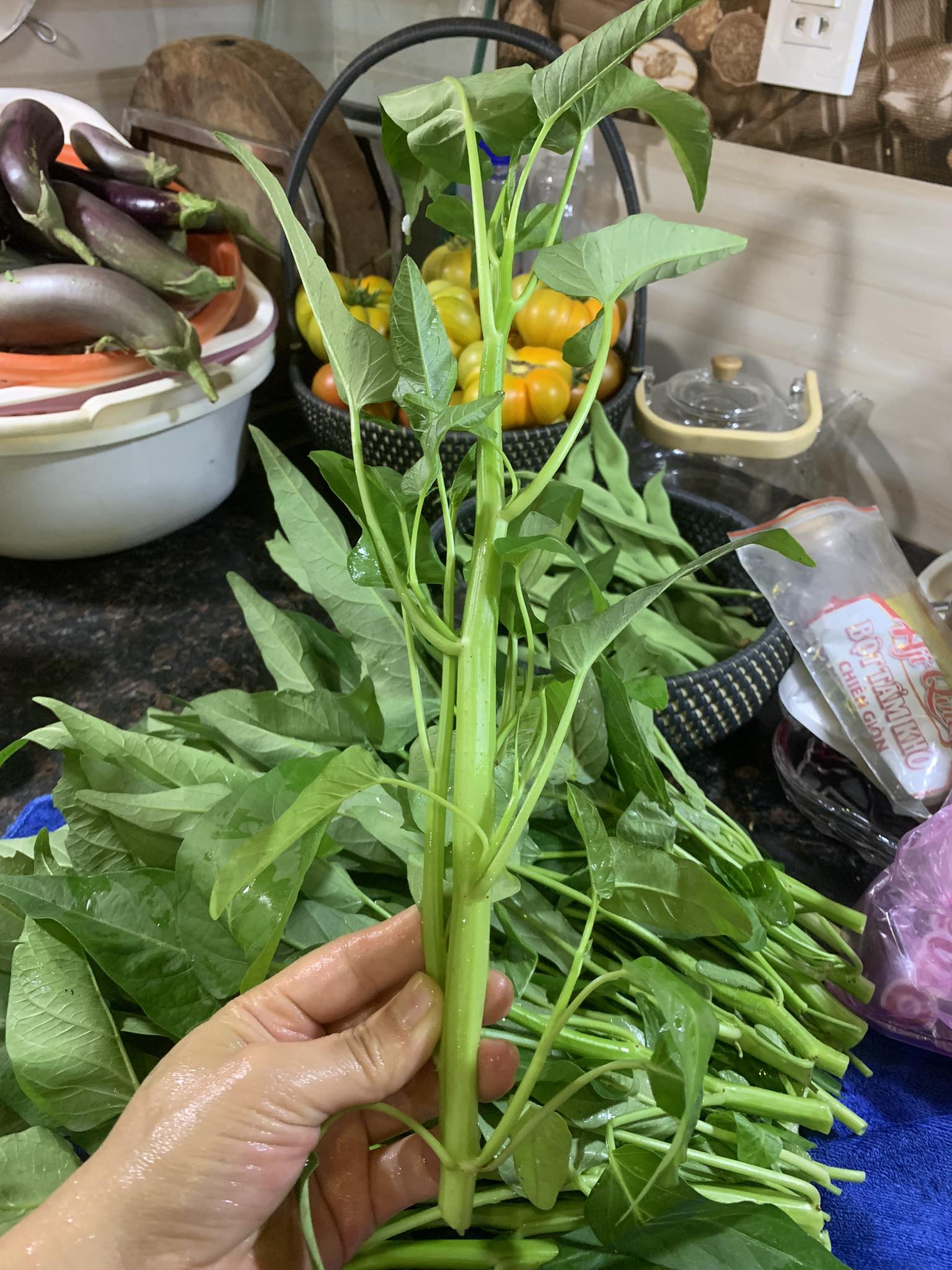 Gói 25 gram hạt giống rau muống siêu ngọn Thái
