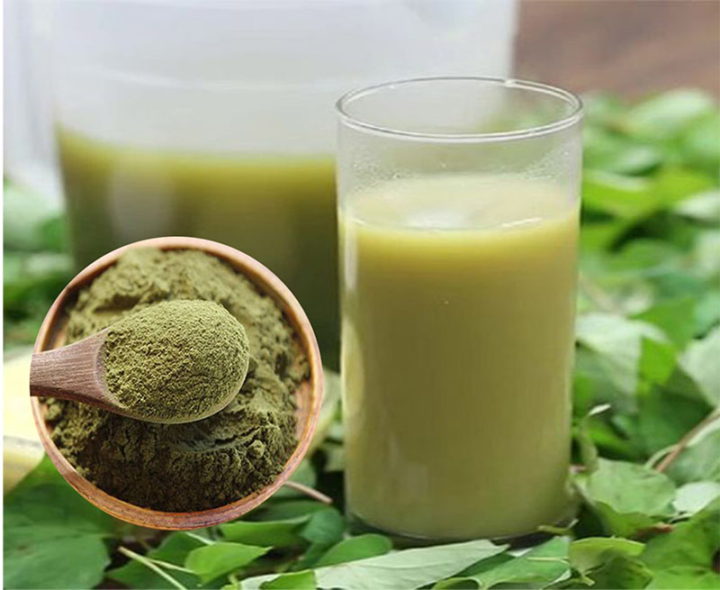 Bột Diếp Cá nguyên chất
