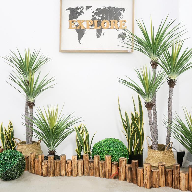 Cây giả Decor trang trí - Cây phát tài núi [Giống thật 99%]