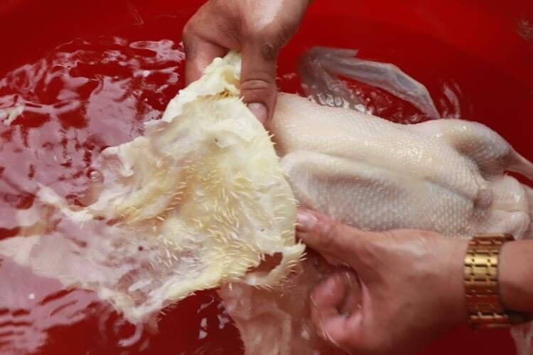 [CHÍNH HÃNG] SÁP Làm Lông Gà Vịt túi 3kg
