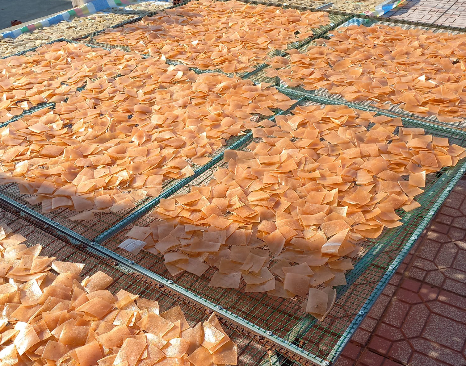 Bánh phồng tôm đặc biệt
