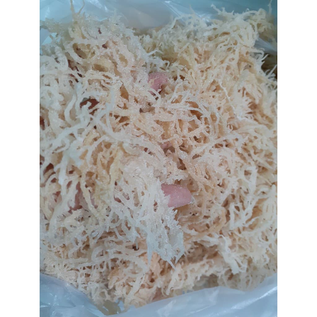 Combo 2kg rong sụn tươi/ rong sụn gai muối - dùng làm gỏi, nấu chè