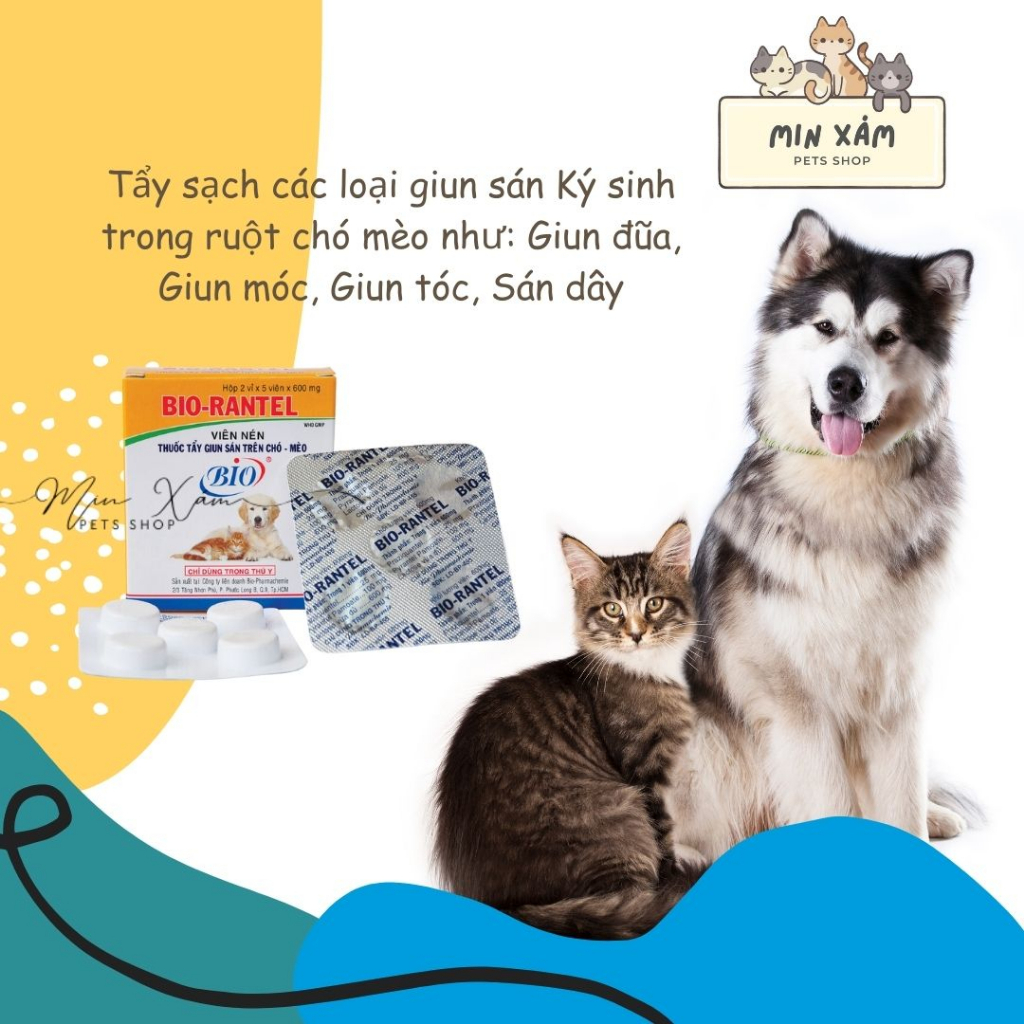 VIÊN XỔ GIUN CHO CHÓ MÈO - BIO RANTEL