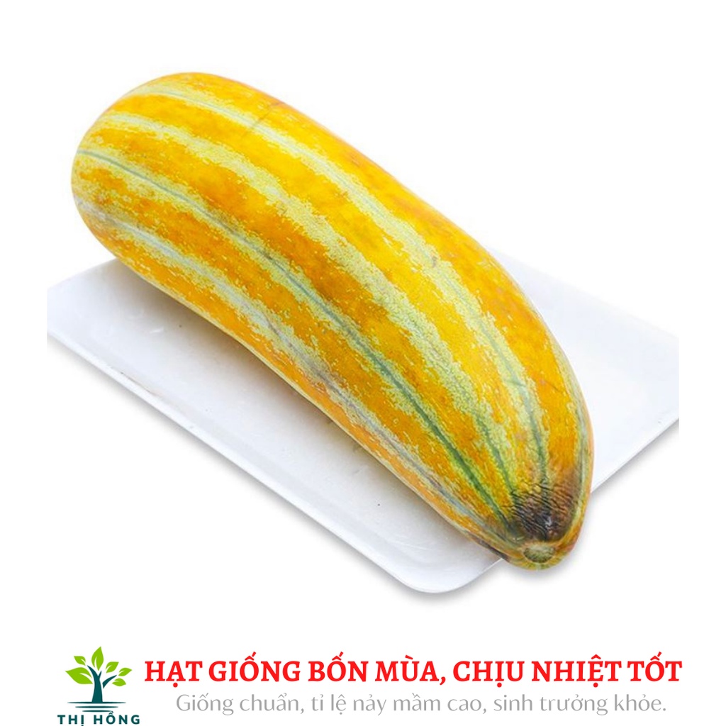Hạt giống dưa gang cao sản 1g (mùi rất thơm, thịt bở, vị ngọt mát)