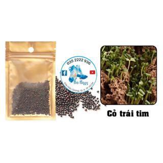 Hạt giống thủy sinh  cây thủy sinh  (bịch 10gr)
