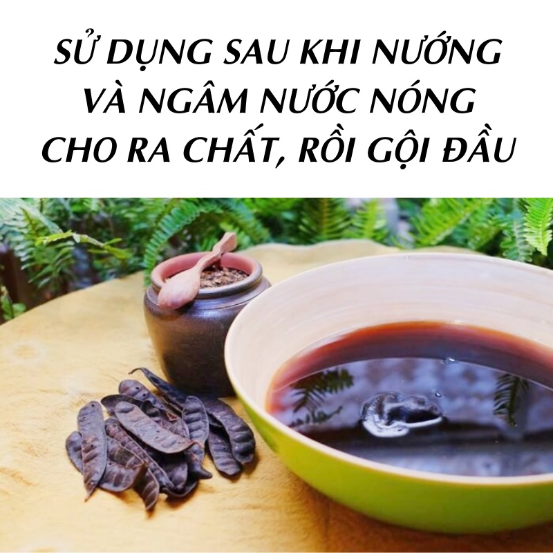 Bồ kết khô 1kg - Thảo Dược Tấn Phát