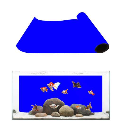 Decal Dán Bể Cá Dán Nền Hồ Cá Cảnh (Khổ 60cm)