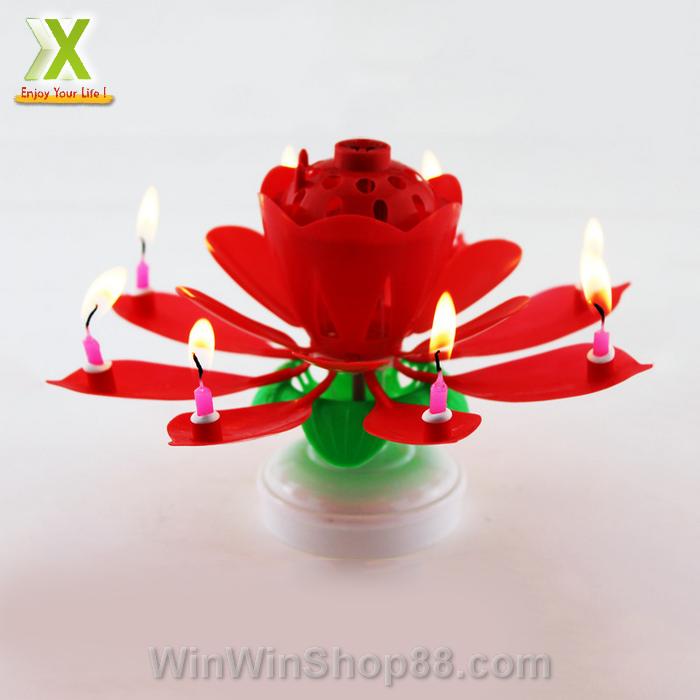 [HCM]Nến sinh nhật nở hoa và phát nhạc V.2