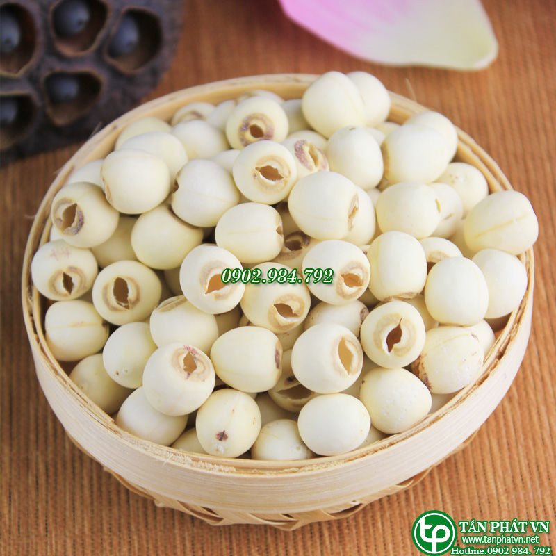 Hạt sen sấy khô 1kg - Thảo Dược Tấn Phát