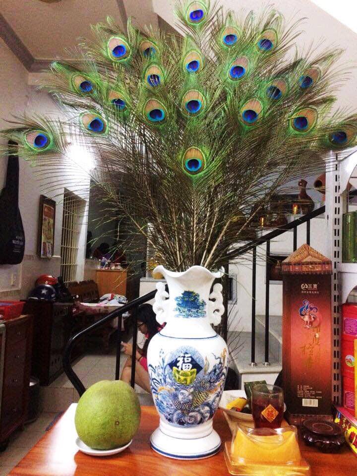 Combo 10 Lông công Phong Thủy - Dài 1m - Hàng Đẹp - Sang Trọng