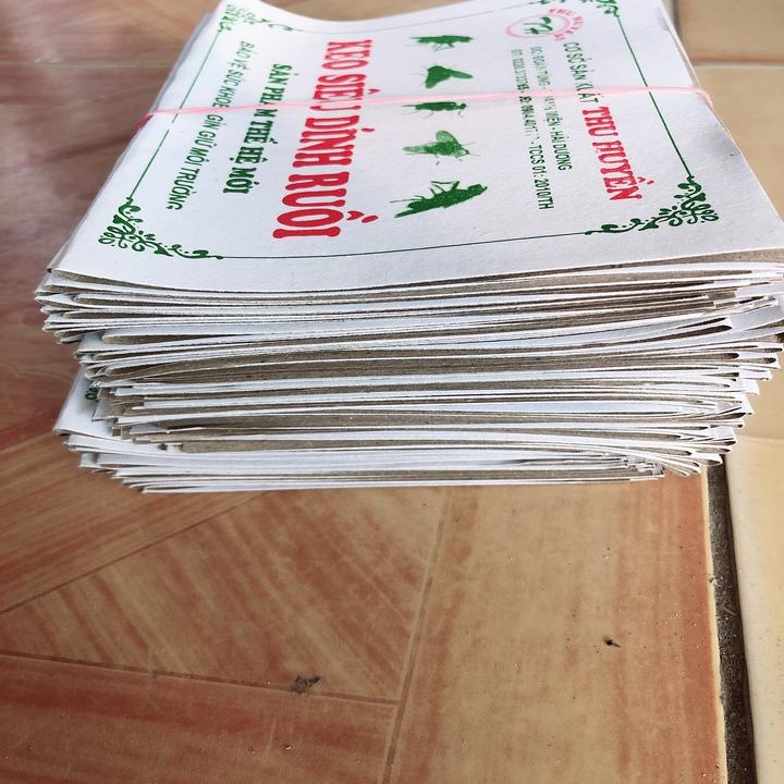 Keo Dính Ruồi 100 Bẫy Loại Tốt