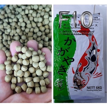 Cám cá koi cao cấp thức ăn cá koi cao cấp kagayaki hạt to 1kg