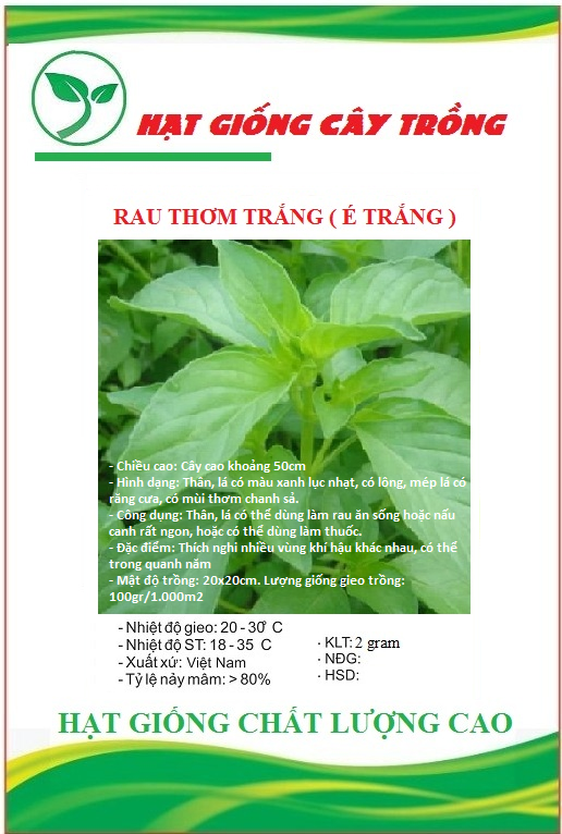 Hạt giống rau húng thơm ( É Trắng) - Rau thơm sả - Gói 2gram