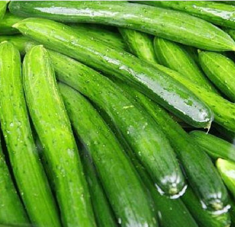 Hạt giống dưa chuột dài dưa kiếm nhật - 10 hạt.gói