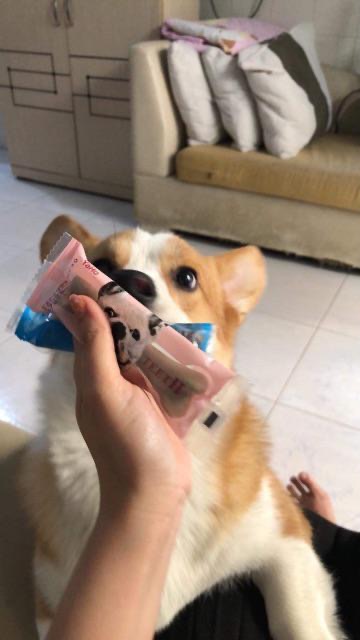 Xương gặm sạch răng Yaho 18cm