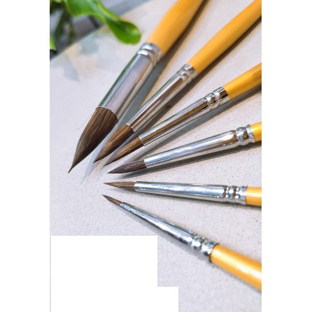 Cọ nhọn sunway basic b212