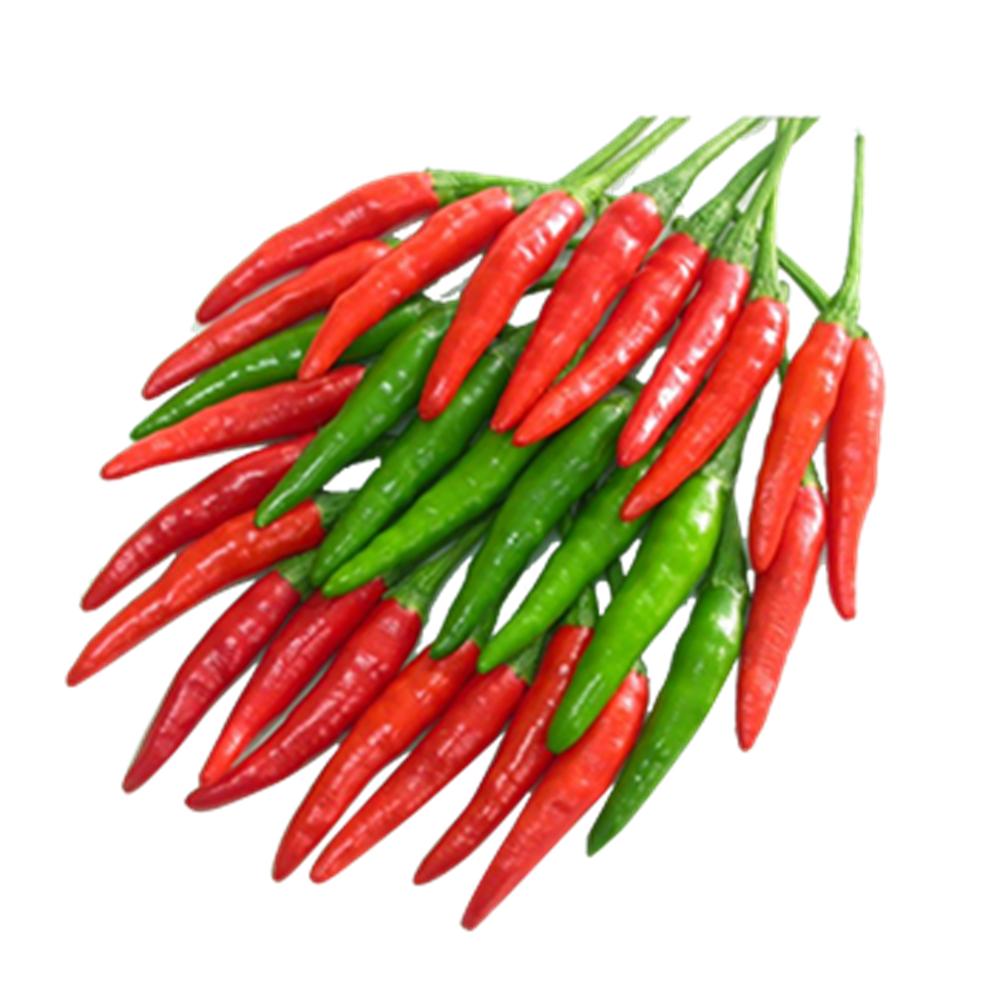 Hạt Giống Ớt Chỉ Thiên Lai F1 (Ớt Hiểm) Sai Trái, Siêu Cay, Dễ Trồng Chăm Sóc