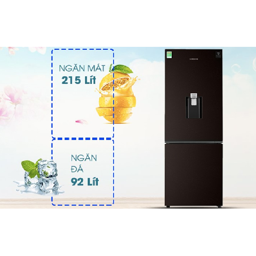 [GIAO TẠI HCM] - Tủ lạnh Samsung Inverter 307 lít RB30N4190BY/SV