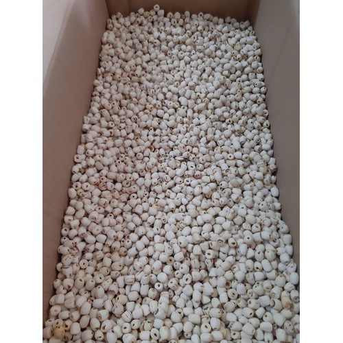 HẠT SEN KHÔ ĐỒNG THÁP 500g