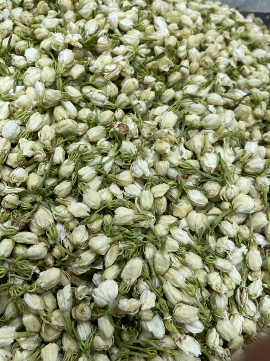 Nụ Hoa Nhài Đà Lạt Sấy Lạnh - 100G