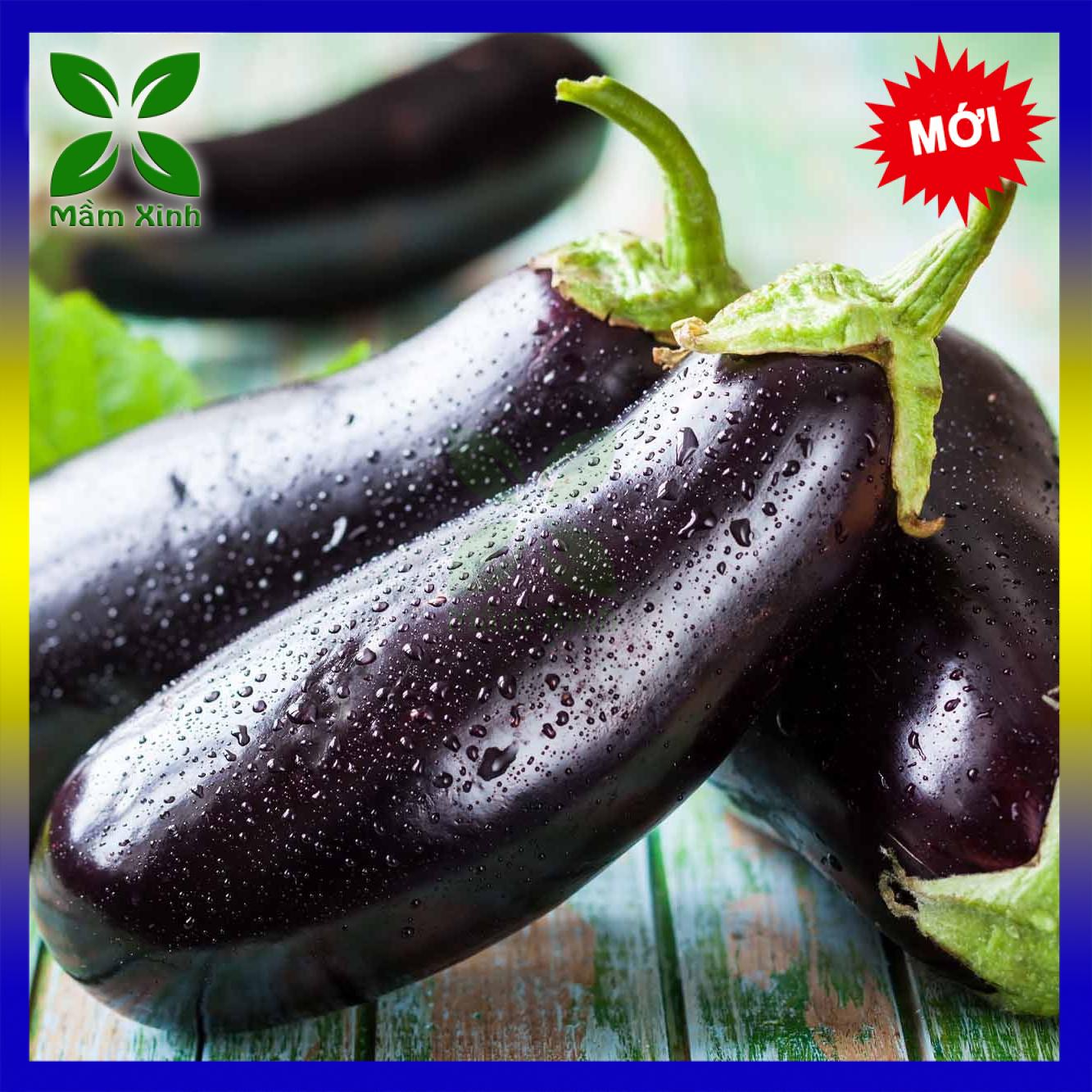 Hạt Giống Cà Tím F1 Tomawak Gói 1g
