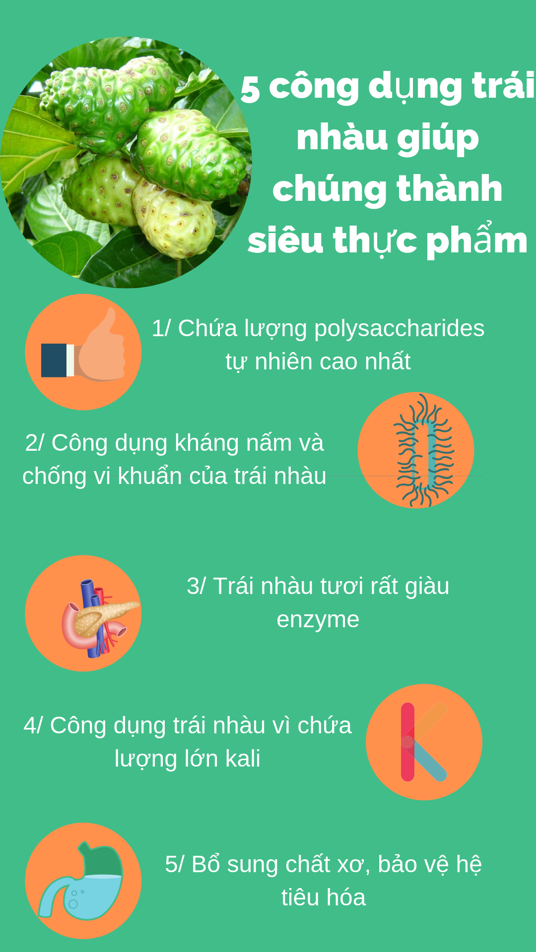 Nước cốt trái nhàu Noni Green chai 1000ml