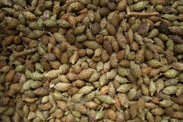 1kg hạt ké đầu ngựa