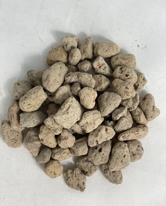 Đá bọt PUMICE trồng lan, sen đá, cây cảnh
