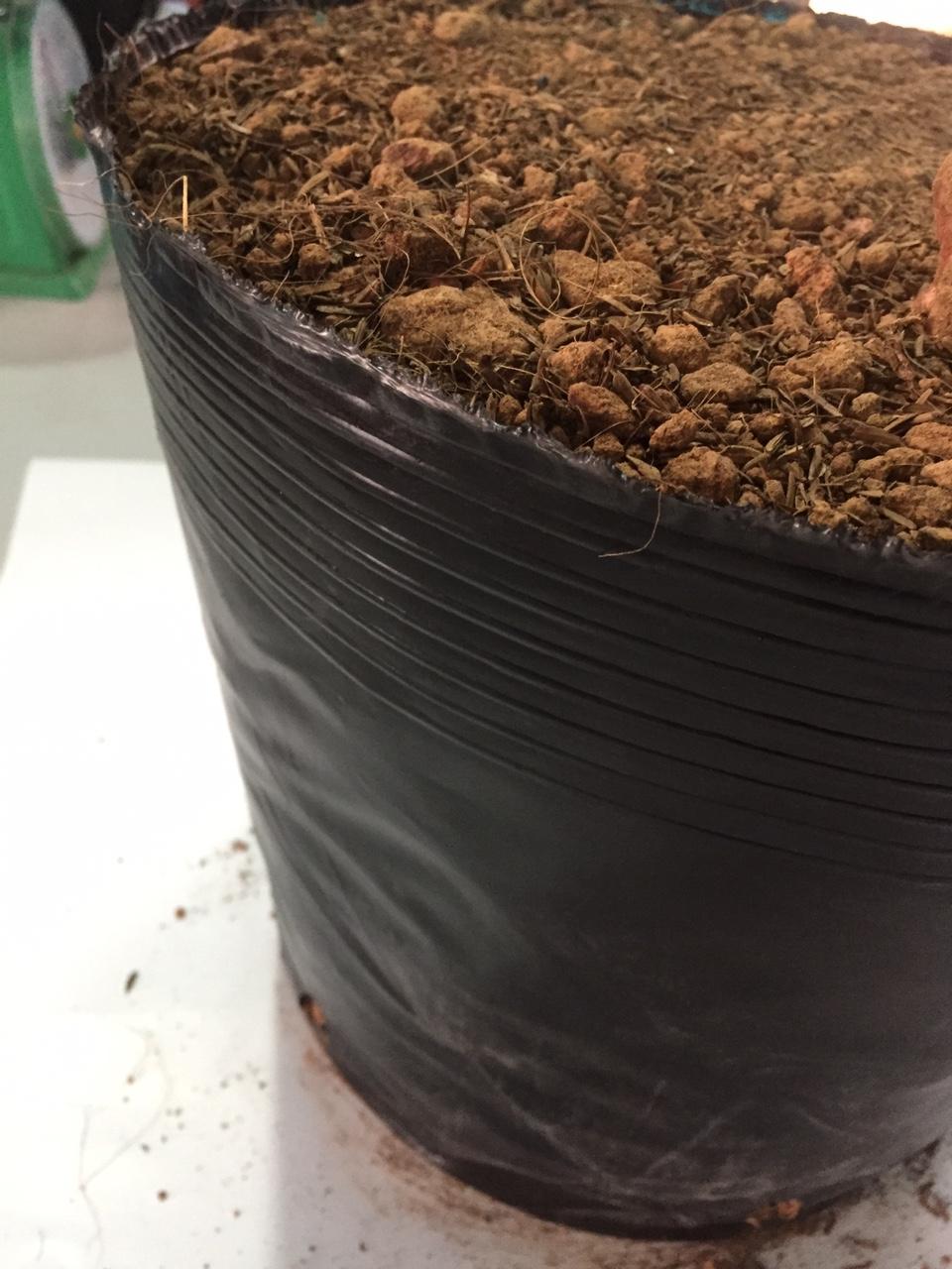 Set 10kg túi bầu ươm cây bằng nhựa dẻo (Bịch bầu cây) Cỡ 30x28